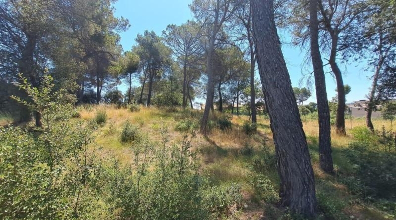 Barcelona - el Bruc - 1873m2