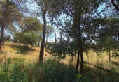 Sòl urbà en venda a la España, el Bruc, ref.: TR265660 foto