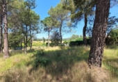 Sòl urbà en venda a la España, el Bruc, ref.: TR265660 foto