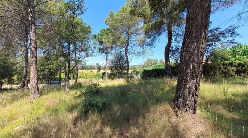 Barcelona - el Bruc - 1873m2