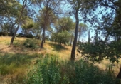 Sòl urbà en venda a la España, el Bruc, ref.: TR265660 foto