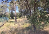 Sòl urbà en venda a la España, el Bruc, ref.: TR265660 foto
