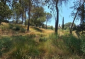 Sòl urbà en venda a la España, el Bruc, ref.: TR265660 foto