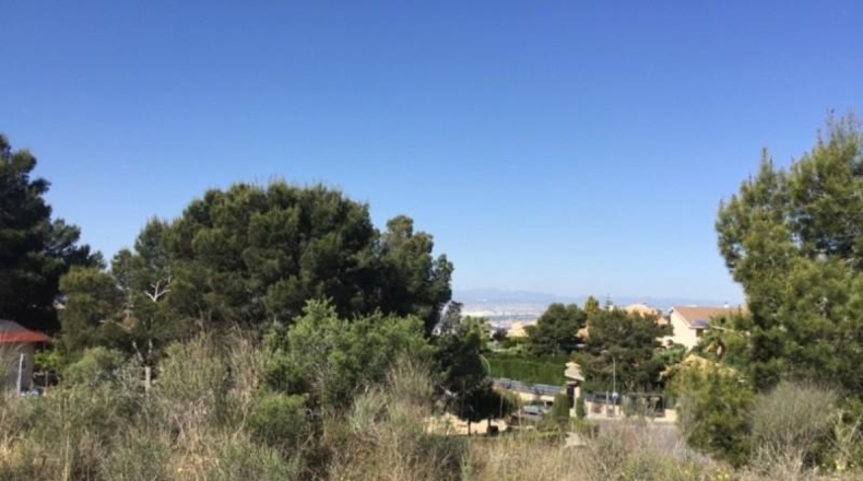 Múrcia - Molina de Segura - 1345m2