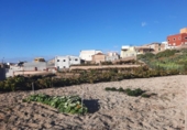 Casa de campo con terreno en venta en la España, Granadilla de Abona, ref: TR144568 foto
