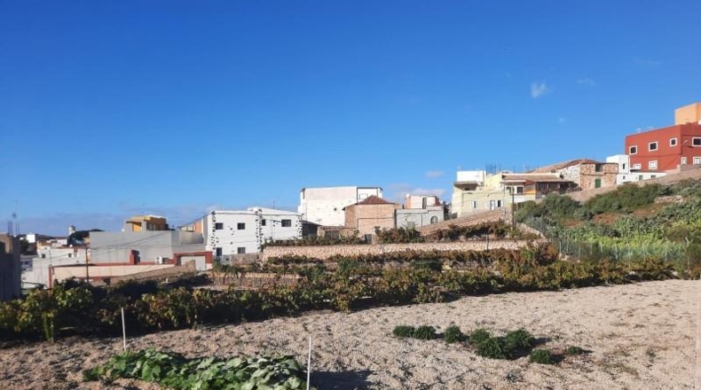 Santa Cruz de Tenerife - Granadilla de Abona - 2906m2