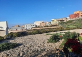 Casa de campo con terreno en venta en la España, Granadilla de Abona, ref: TR144568 foto