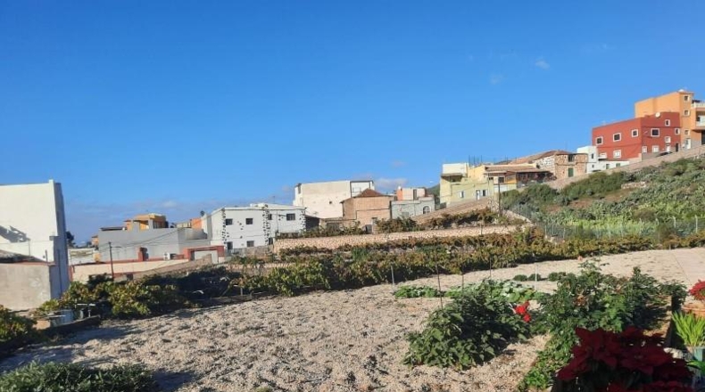 Santa Cruz de Tenerife - Granadilla de Abona - 2906m2