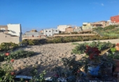 Casa de campo con terreno en venta en la España, Granadilla de Abona, ref: TR144568 foto