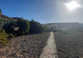 Casa de campo con terreno en venta en la España, Granadilla de Abona, ref: TR144568 foto
