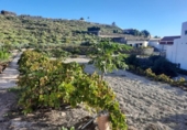 Casa de campo con terreno en venta en la España, Granadilla de Abona, ref: TR144568 foto