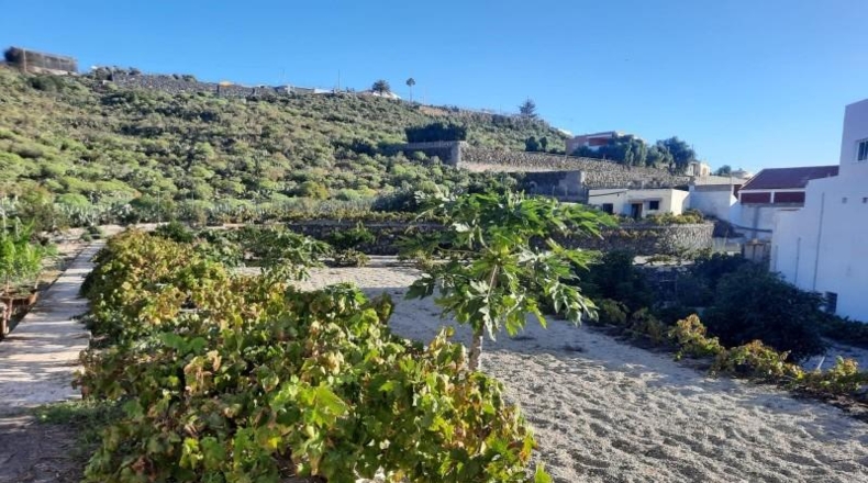 Santa Cruz de Tenerife - Granadilla de Abona - 2906m2
