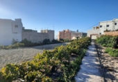 Casa de campo con terreno en venta en la España, Granadilla de Abona, ref: TR144568 foto