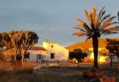 Casa de camp amb terreny en venda a la España, Fuente Álamo, ref.: TR220324 foto
