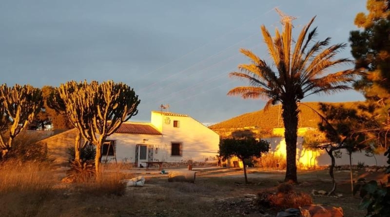 Murcia - Fuente Álamo de Murcia - 9020m2