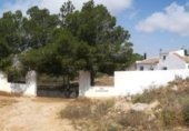 Casa de camp amb terreny en venda a la España, Fuente Álamo, ref.: TR220324 foto