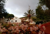 Casa de camp amb terreny en venda a la España, Fuente Álamo, ref.: TR220324 foto