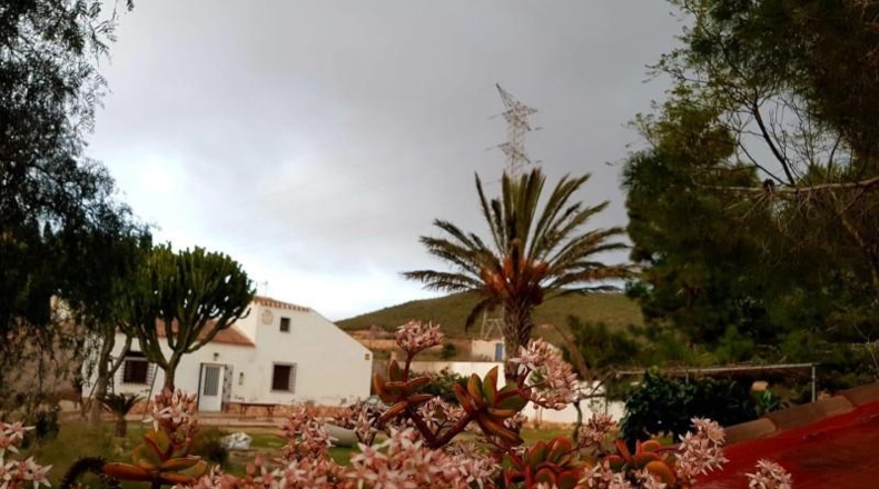 Murcia - Fuente Álamo de Murcia - 9020m2