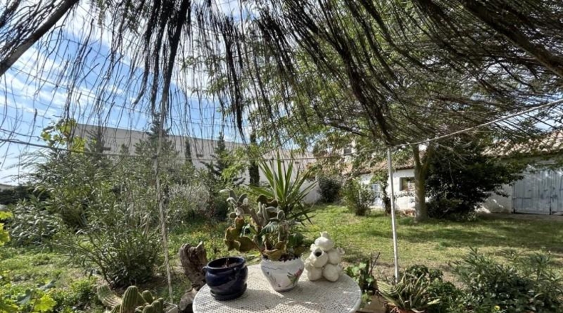 Navarra - Cascante - 850m2