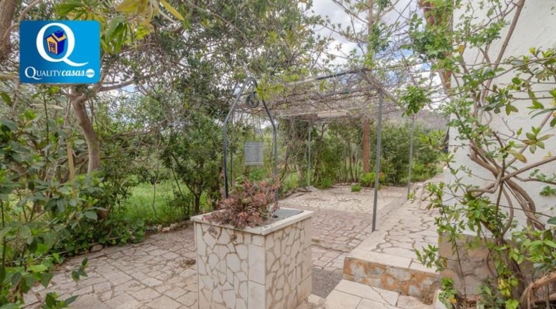 Alicante - Agost - 6600m2
