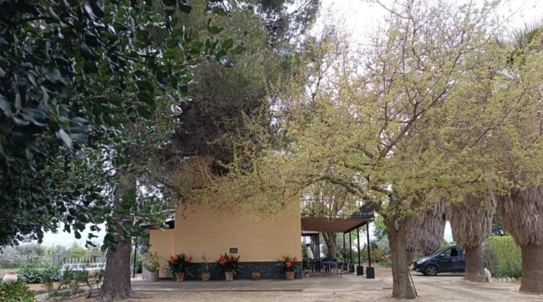 Cadiz - Villamartín - 3500m2