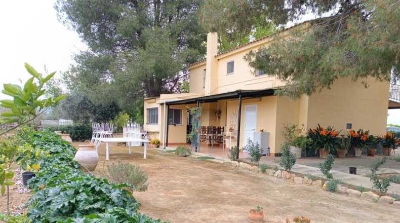 Cadiz - Villamartín - 3500m2