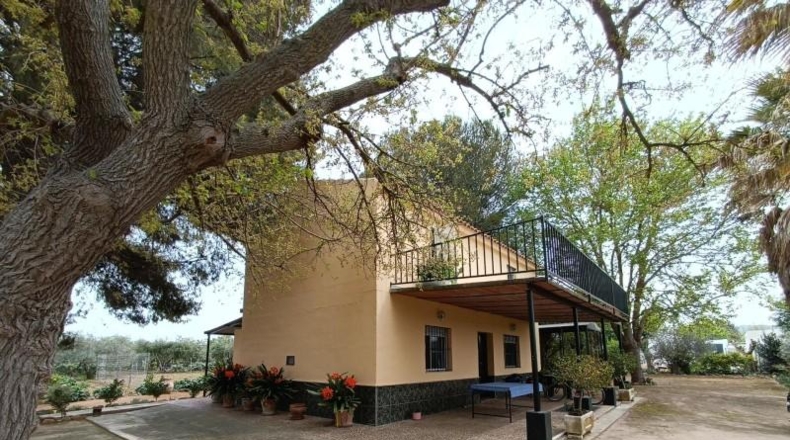 Cadiz - Villamartín - 3500m2