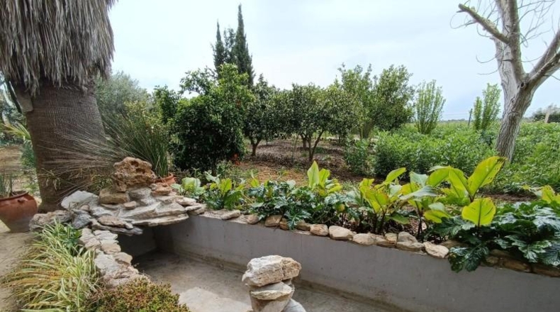 Cadiz - Villamartín - 3500m2