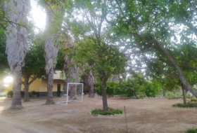Foto 11