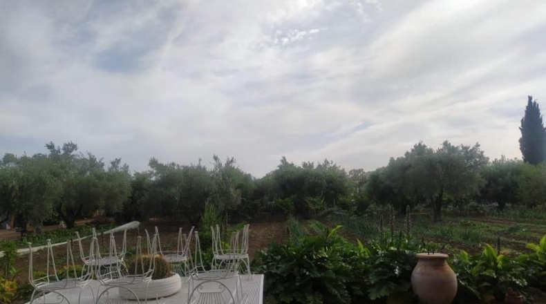 Cadiz - Villamartín - 3500m2