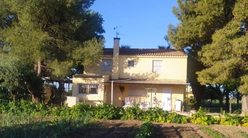 Cadiz - Villamartín - 3500m2