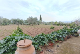 Foto 15