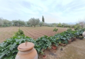 Terreny no urbanitzable en venda a la España, Villamartín, ref.: TR130012 foto