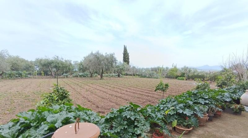 Cadiz - Villamartín - 3500m2