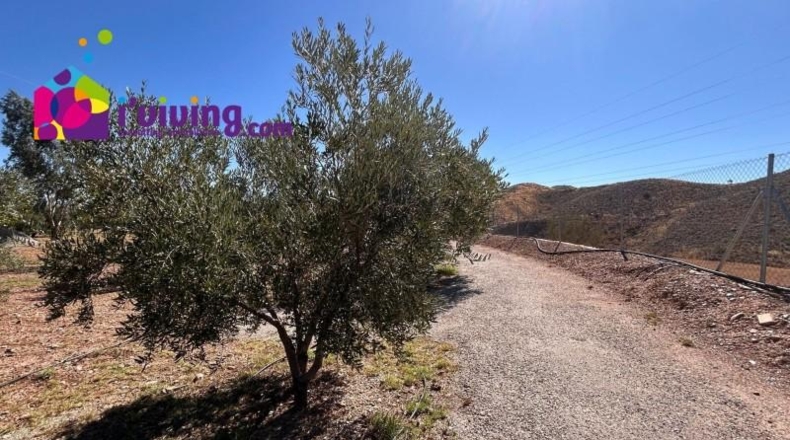 Almería - Albox - 3000m2