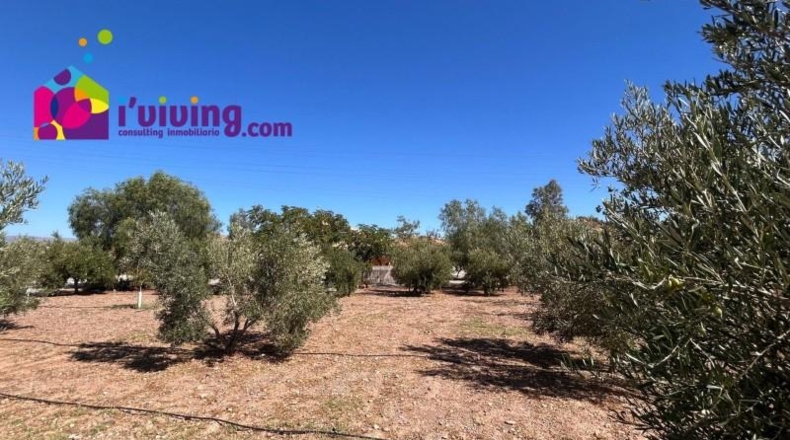 Almería - Albox - 3000m2