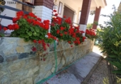 Chalet independiente con terreno en venta en la España, Jaén, ref: TR380934 foto