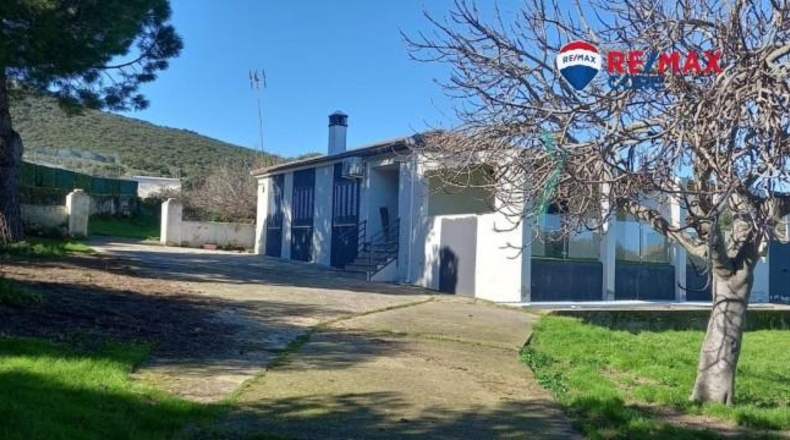 Cáceres - Sierra de Fuentes - 3200m2