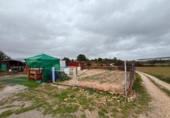 Casa de pueblo en venta en la España, Sarral, ref: TR383153 foto