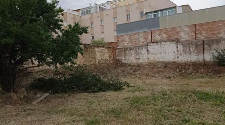 Jaén - Bailén - 1750m2