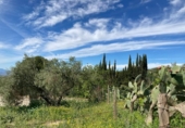 Casa de camp amb terreny en venda a la España, Antequera, ref.: TR160038 foto