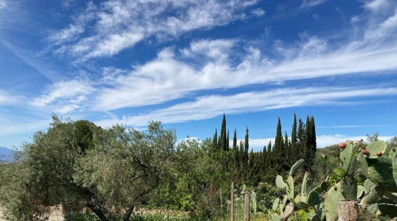 Málaga - Antequera - 13000m2