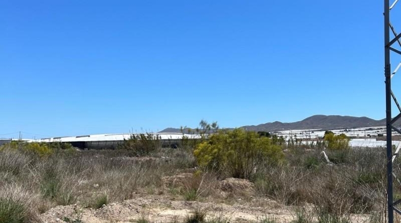 Almeria - Níjar - 25728m2