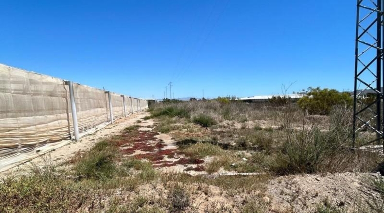 Almeria - Níjar - 25728m2