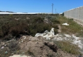 Non-developable land for sale on España, San Isidro de Nijar, ref: TR130651 photo