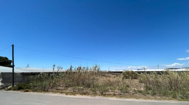 Almeria - Níjar - 25728m2