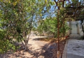 Casa de camp amb terreny en venda a la España, Cullera, ref.: TR167098 foto