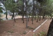 Xalet independent amb terreny en venda a la España, Totana, ref.: TR359769 foto