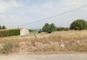Terreny no urbanitzable en venda a la España, Múrcia, ref.: TR317103 foto