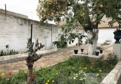 Chalet independiente con terreno en venta en la España, Manzanilla, ref: TR331705 foto